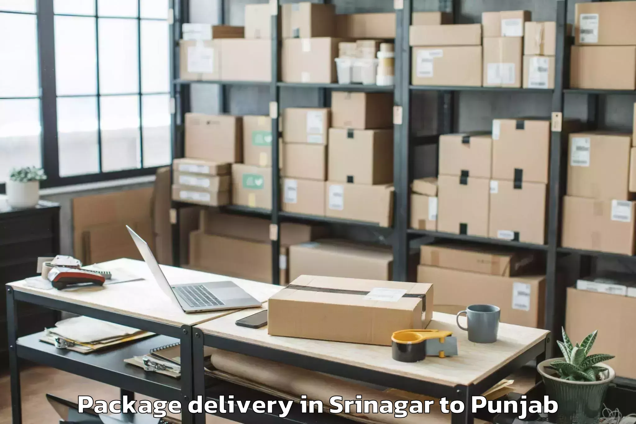 Easy Srinagar to Iit Ropar Package Delivery Booking